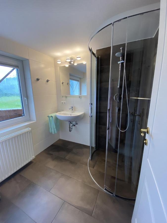 Apartmán Haus Meneweger Flachau Exteriér fotografie